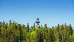 Ugunsdzēsēju novērošanas tornis meža ielokā, kas simbolizē modrību un gatavību ārkārtas situācijām Latvijā.