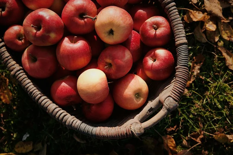 Miķeļdiena 29. septembrī: rudens datums ar divām tradīcijām