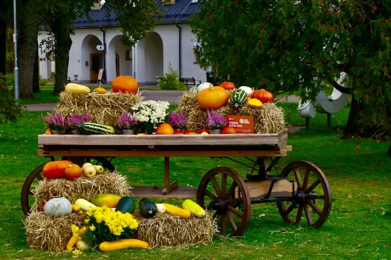 Miķeļi 29. septembrī: ražas beigas un rudens tradīcijas